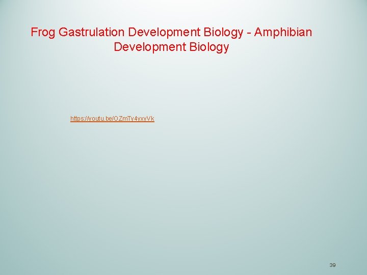 Frog Gastrulation Development Biology - Amphibian Development Biology https: //youtu. be/OZm. Ty 4 yxy.