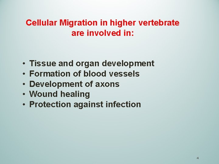 Cellular Migration in higher vertebrate are involved in: • • • Tissue and organ