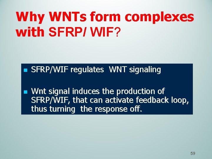 Why WNTs form complexes with SFRP/ WIF? n n SFRP/WIF regulates WNT signaling Wnt