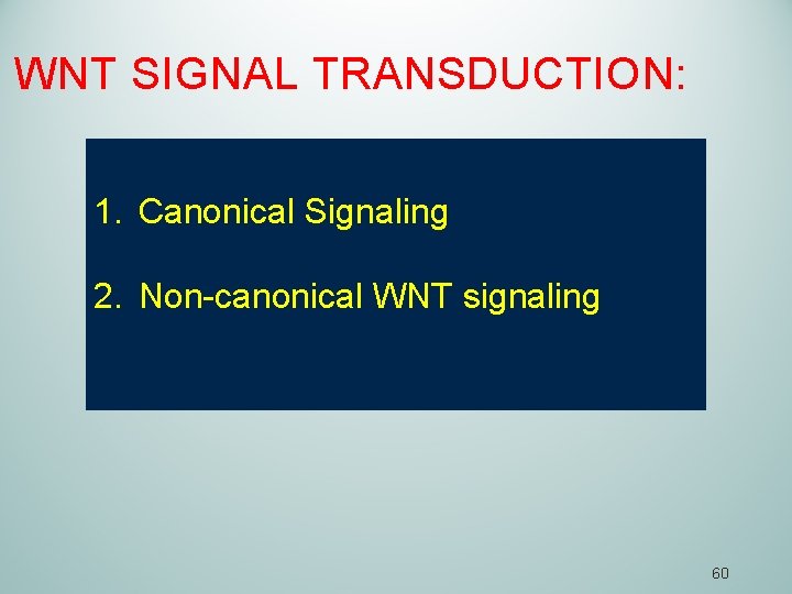 WNT SIGNAL TRANSDUCTION: 1. Canonical Signaling 2. Non-canonical WNT signaling 60 