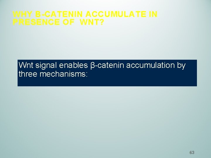 WHY Β-CATENIN ACCUMULATE IN PRESENCE OF WNT? Wnt signal enables β-catenin accumulation by three