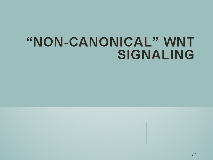 “NON-CANONICAL” WNT SIGNALING 77 