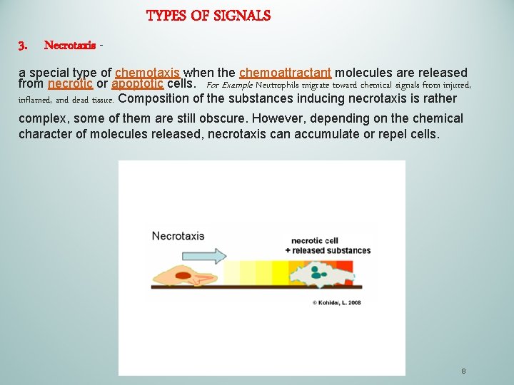 TYPES OF SIGNALS 3. Necrotaxis a special type of chemotaxis when the chemoattractant molecules