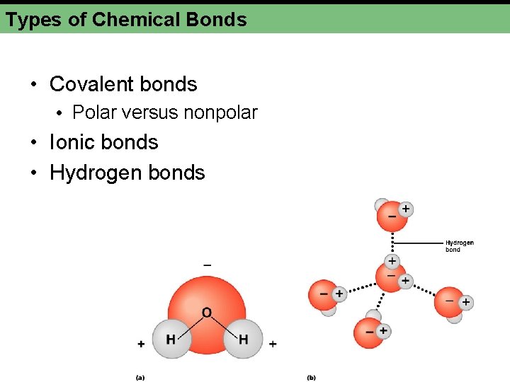 Types of Chemical Bonds • Covalent bonds • Polar versus nonpolar • Ionic bonds