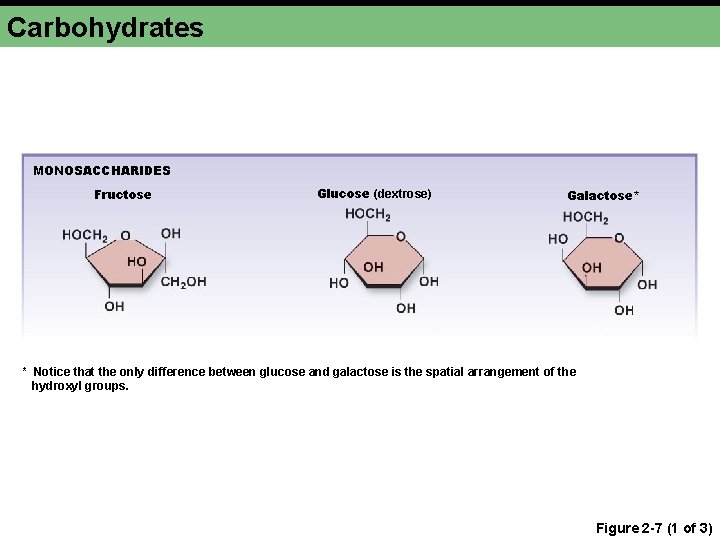 Carbohydrates MONOSACCHARIDES Fructose Glucose (dextrose) Galactose* * Notice that the only difference between glucose