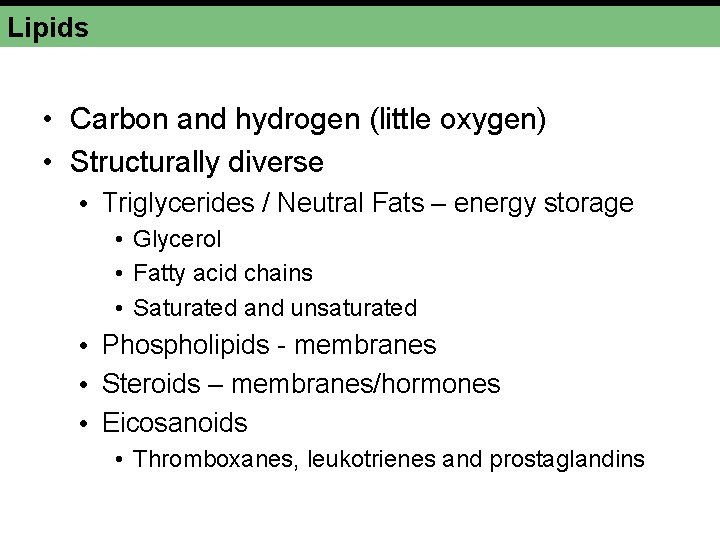 Lipids • Carbon and hydrogen (little oxygen) • Structurally diverse • Triglycerides / Neutral