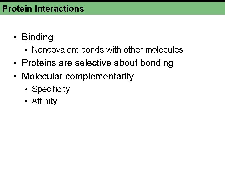 Protein Interactions • Binding • Noncovalent bonds with other molecules • Proteins are selective