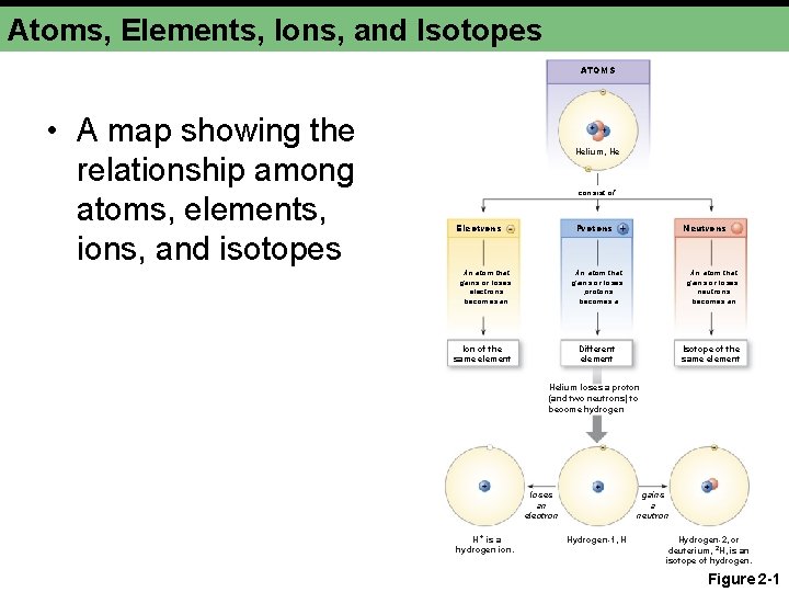 Atoms, Elements, Ions, and Isotopes ATOMS • A map showing the relationship among atoms,