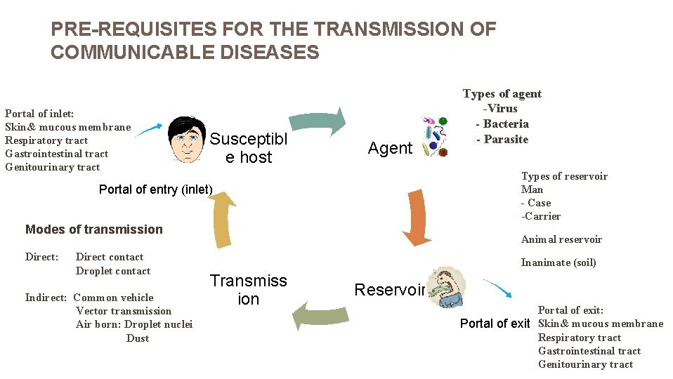 PRE-REQUISITES FOR THE TRANSMISSION OF COMMUNICABLE DISEASES Portal of inlet: Skin& mucous membrane Respiratory