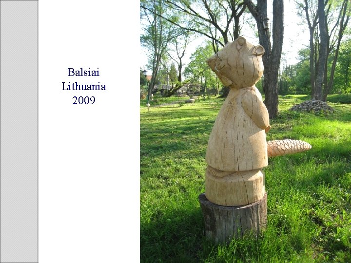 Balsiai Lithuania 2009 