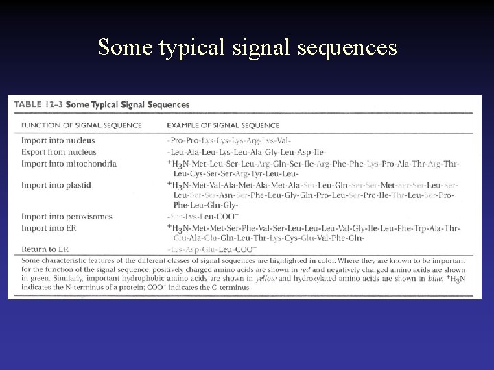 Some typical signal sequences 