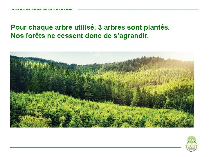 DES ARBRES AUX CARTONS • DES CARTONS AUX ARBRES Pour chaque arbre utilisé, 3