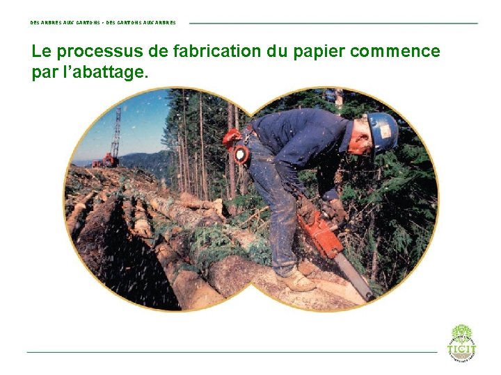 DES ARBRES AUX CARTONS • DES CARTONS AUX ARBRES Le processus de fabrication du