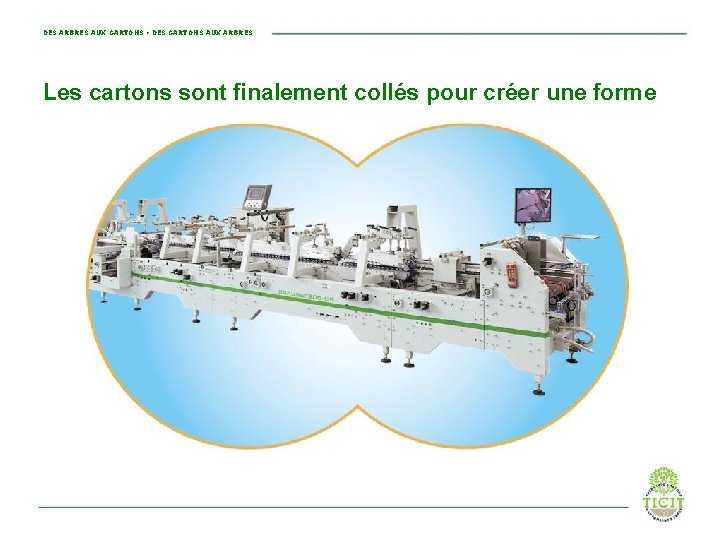 DES ARBRES AUX CARTONS • DES CARTONS AUX ARBRES Les cartons sont finalement collés