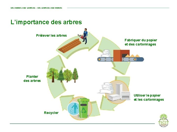 DES ARBRES AUX CARTONS • DES CARTONS AUX ARBRES L’importance des arbres Prélever les