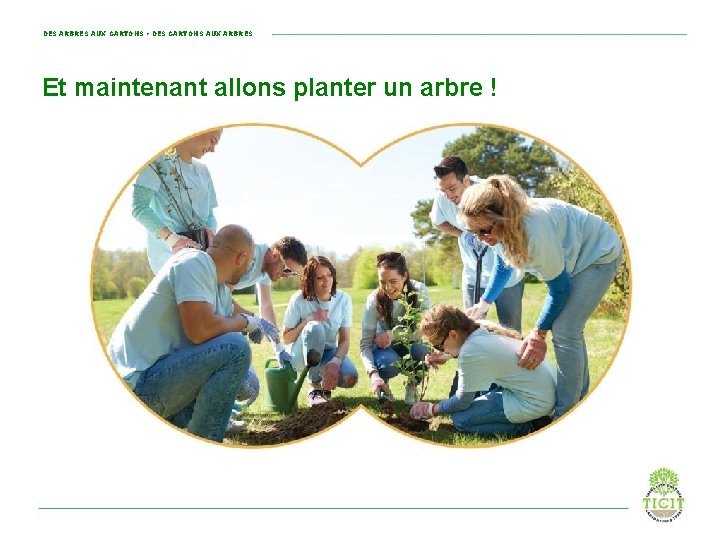 DES ARBRES AUX CARTONS • DES CARTONS AUX ARBRES Et maintenant allons planter un