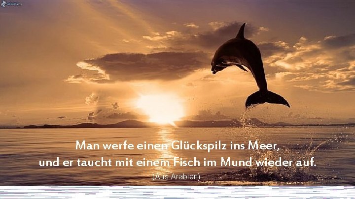 Man werfe einen Glückspilz ins Meer, und er taucht mit einem Fisch im Mund