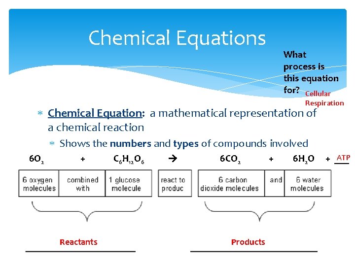 Chemical Equations What process is this equation for? Cellular Respiration Chemical Equation: a mathematical