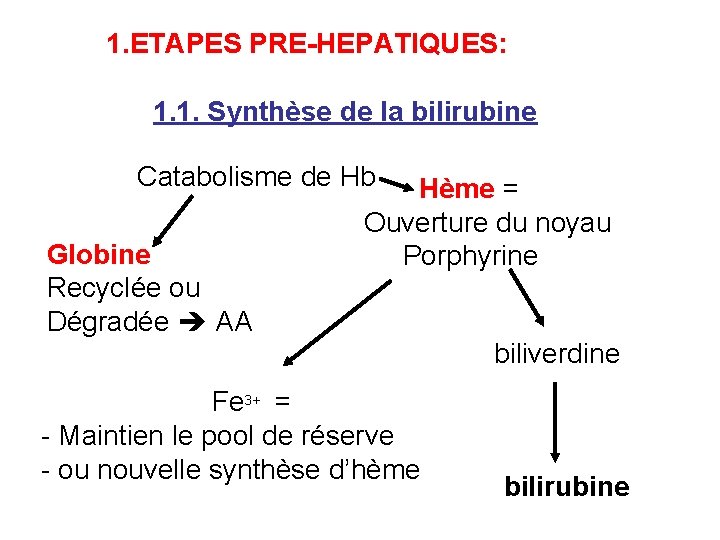 1. ETAPES PRE-HEPATIQUES: 1. 1. Synthèse de la bilirubine Catabolisme de Hb Hème =