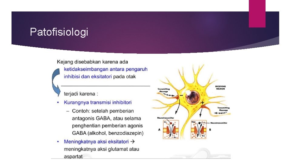 Patofisiologi 
