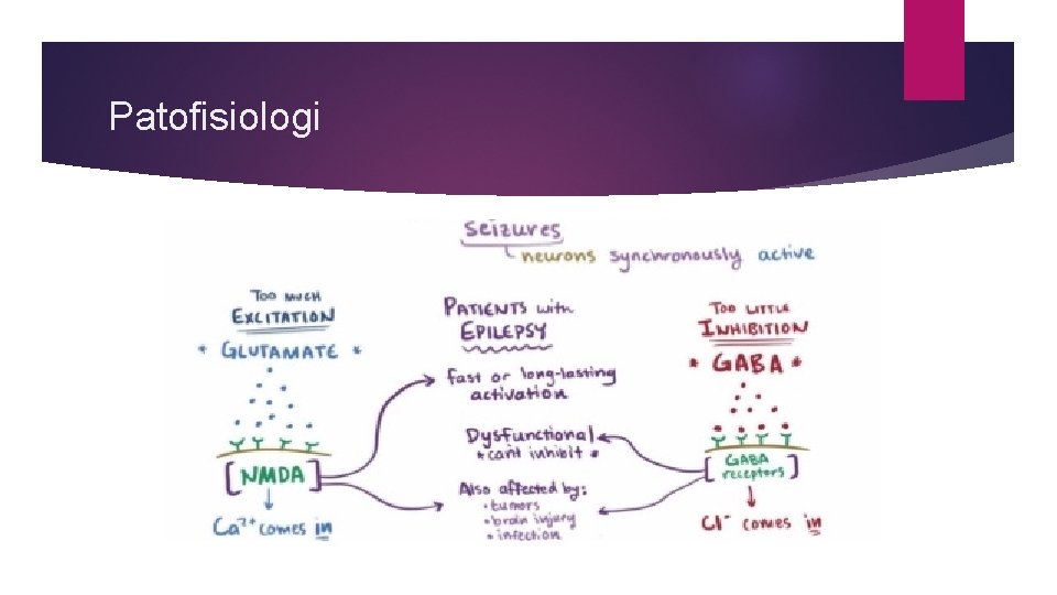 Patofisiologi 