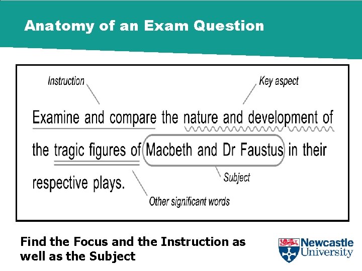 Anatomy of an Exam Question Find the Focus and the Instruction as well as