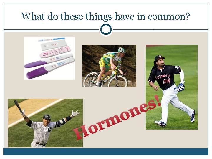 What do these things have in common? ! s e n H o m
