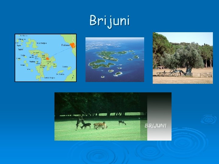 Brijuni 