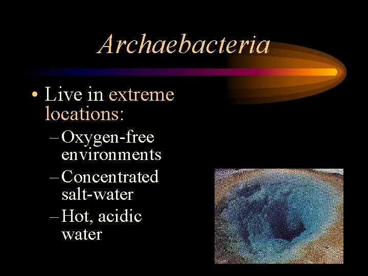 Archaebacteria • Live in extreme locations: – Oxygen-free environments – Concentrated salt-water – Hot,