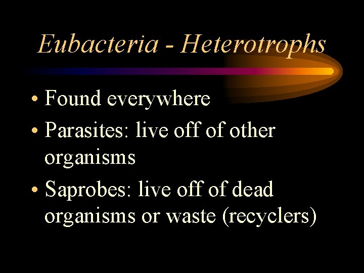 Eubacteria - Heterotrophs • Found everywhere • Parasites: live off of other organisms •