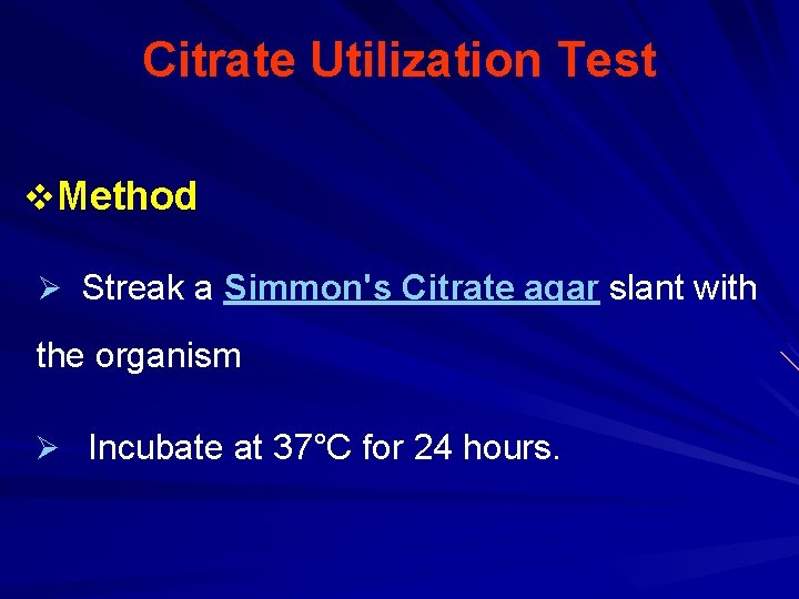 Citrate Utilization Test v. Method Ø Streak a Simmon's Citrate agar slant with the