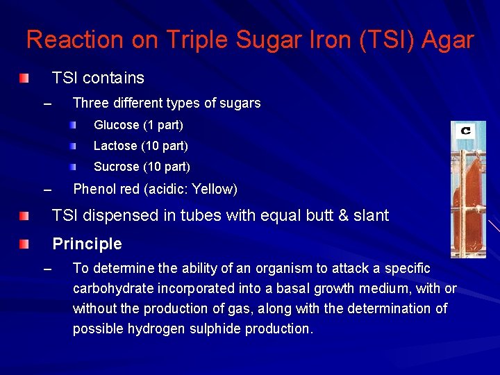 Reaction on Triple Sugar Iron (TSI) Agar TSI contains – Three different types of