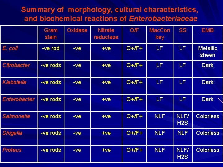 Summary of morphology, cultural characteristics, and biochemical reactions of Enterobacteriaceae Gram stain Oxidase Nitrate