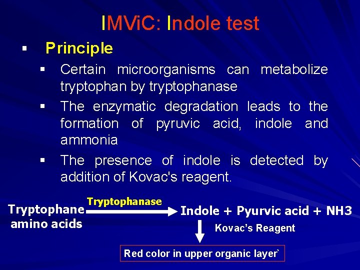 IMVi. C: Indole test § Principle § Certain microorganisms can metabolize tryptophan by tryptophanase