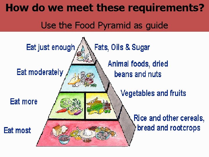 How do we meet these requirements? Use the Food Pyramid as guide 