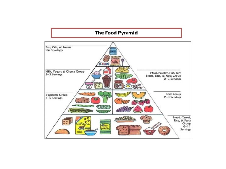 The Food Pyramid 