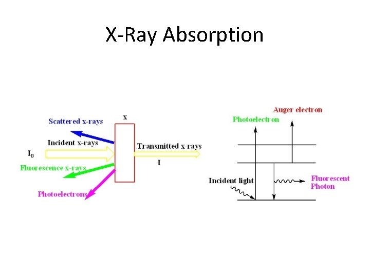 X‐Ray Absorption 