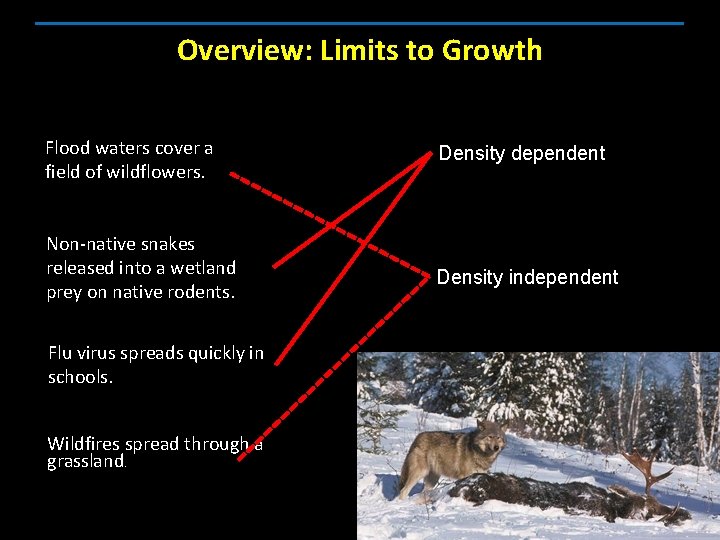 Overview: Limits to Growth Flood waters cover a field of wildflowers. Non-native snakes released