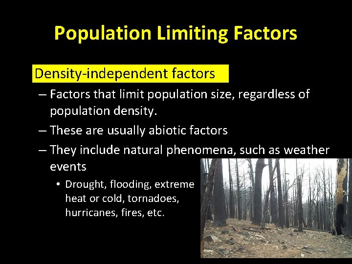 Population Ecology: Density-independent factors Population Limiting Factors • Density-independent factors – Factors that limit