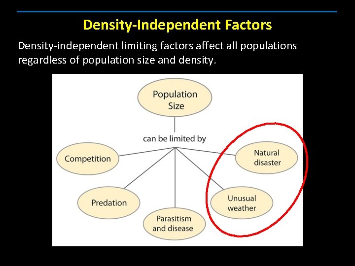 Density-Independent Factors Density-independent limiting factors affect all populations regardless of population size and density.