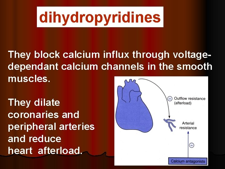 dihydropyridines They block calcium influx through voltagedependant calcium channels in the smooth muscles. They