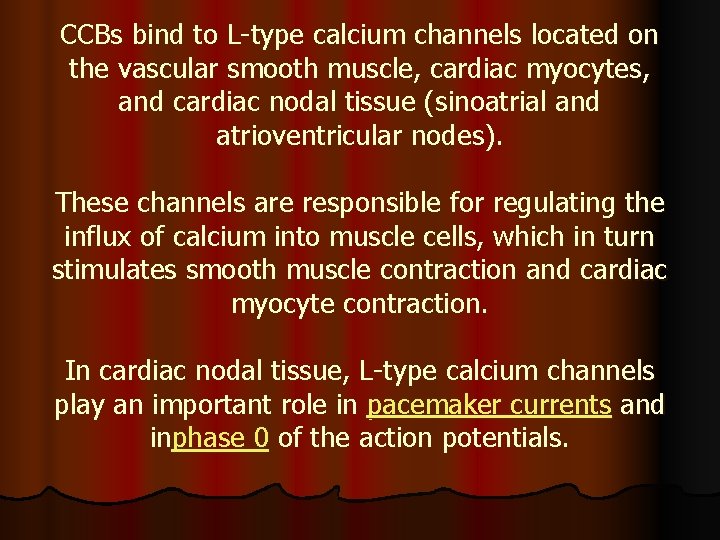 CCBs bind to L-type calcium channels located on the vascular smooth muscle, cardiac myocytes,