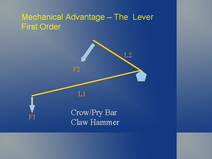 Mechanical Advantage – The Lever First Order L 2 F 2 L 1 F Mechanical Advantage – The Lever First Order L 2 F 2 L 1 F