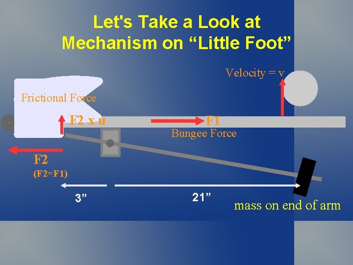 Let's Take a Look at Mechanism on “Little Foot” Velocity = v Frictional Force Let's Take a Look at Mechanism on “Little Foot” Velocity = v Frictional Force