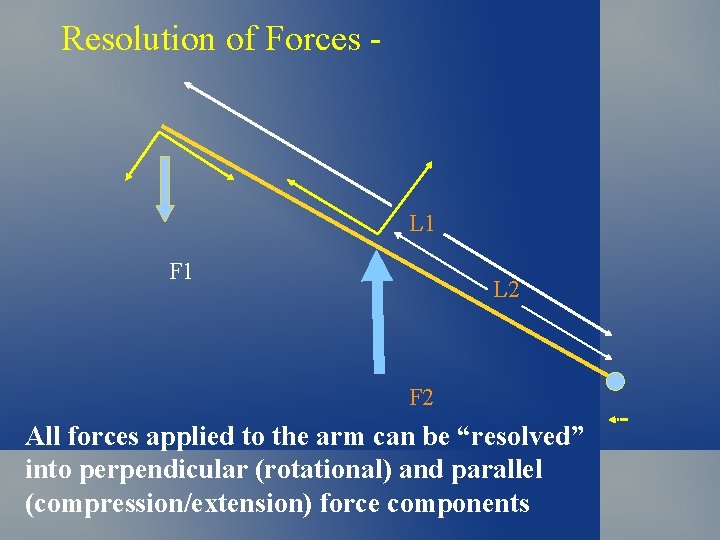 Resolution of Forces - L 1 F 1 L 2 F 2 All forces Resolution of Forces - L 1 F 1 L 2 F 2 All forces