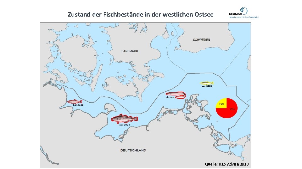 Zustand der Fischbestände in der westlichen Ostsee Quelle: ICES Advice 2013 