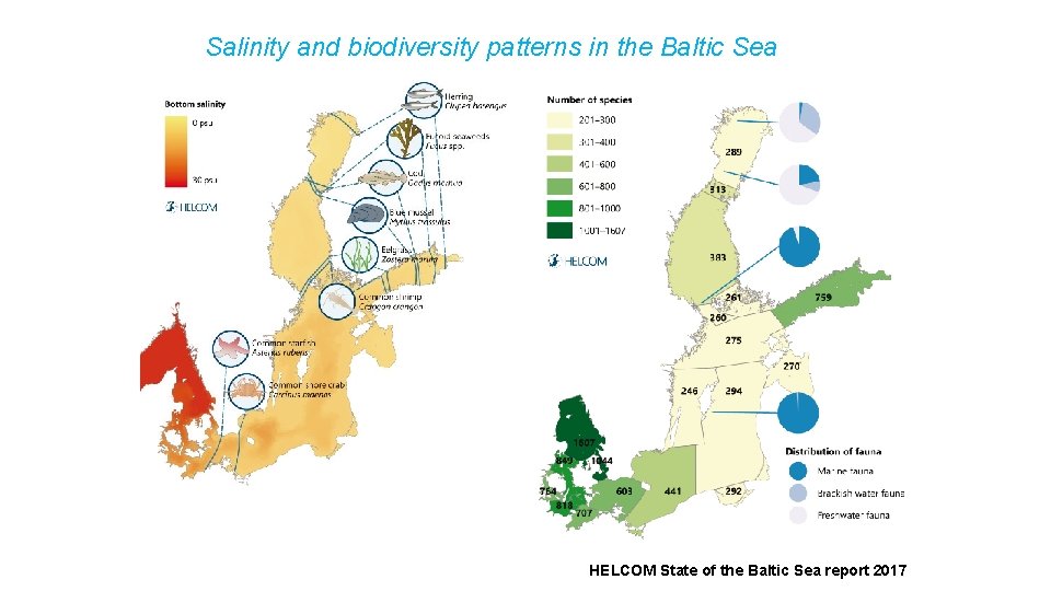 Salinity and biodiversity patterns in the Baltic Sea HELCOM State of the Baltic Sea