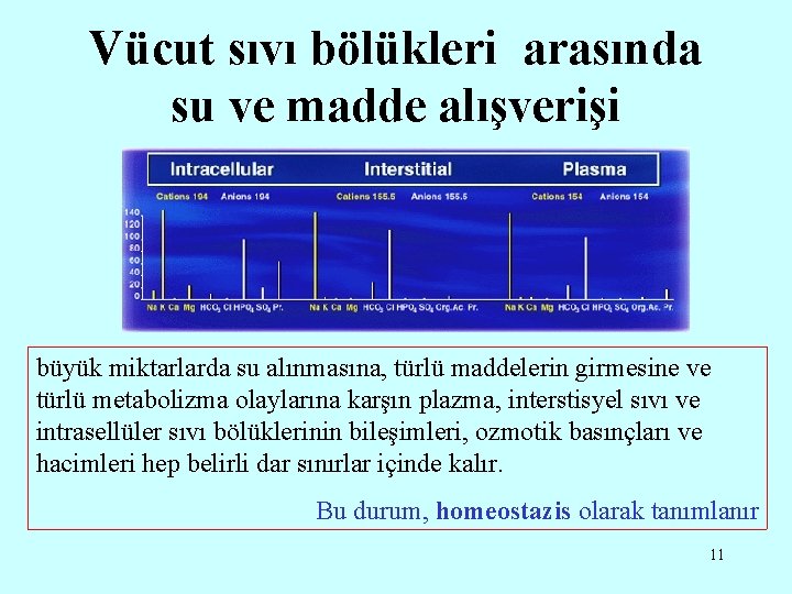 Vücut sıvı bölükleri arasında su ve madde alışverişi büyük miktarlarda su alınmasına, türlü maddelerin