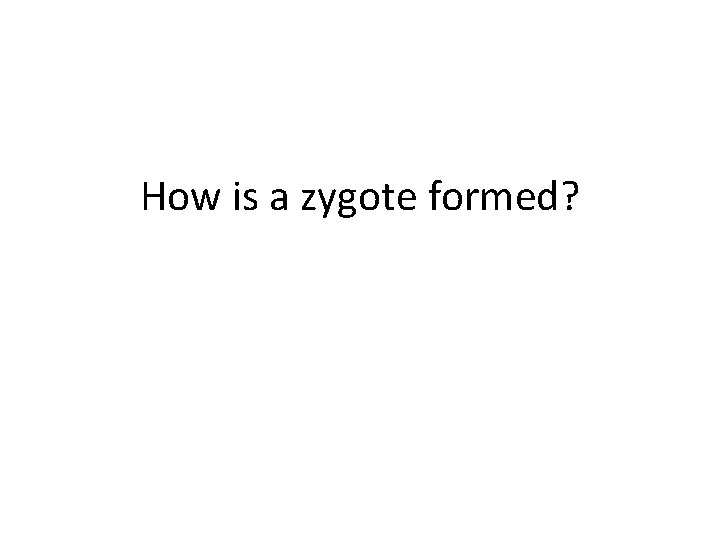 How is a zygote formed? How is a zygote formed?