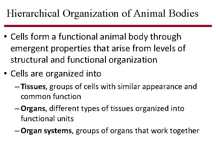 Hierarchical Organization of Animal Bodies • Cells form a functional animal body through emergent Hierarchical Organization of Animal Bodies • Cells form a functional animal body through emergent